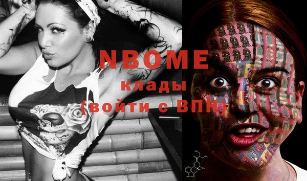 ПСИЛОЦИБИНОВЫЕ ГРИБЫ Богданович