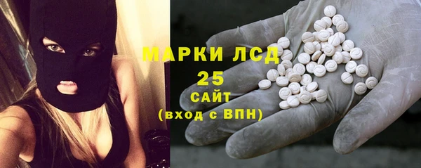 ПСИЛОЦИБИНОВЫЕ ГРИБЫ Богданович