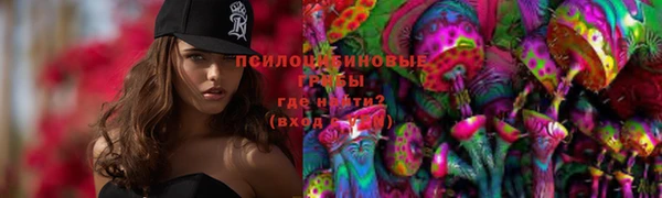 COCAINE Богородицк
