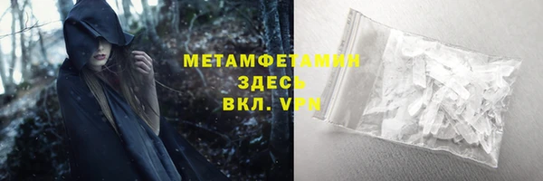 ПСИЛОЦИБИНОВЫЕ ГРИБЫ Богданович