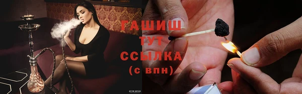 ПСИЛОЦИБИНОВЫЕ ГРИБЫ Богданович