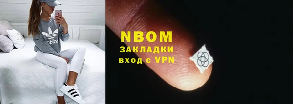 ПСИЛОЦИБИНОВЫЕ ГРИБЫ Богданович
