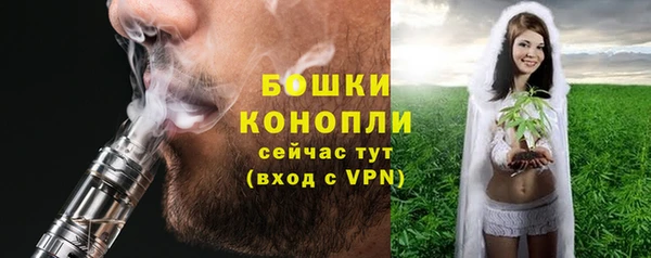 ПСИЛОЦИБИНОВЫЕ ГРИБЫ Богданович