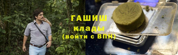 ПСИЛОЦИБИНОВЫЕ ГРИБЫ Богданович