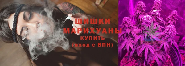 ПСИЛОЦИБИНОВЫЕ ГРИБЫ Богданович