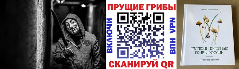 Псилоцибиновые грибы прущие грибы  Купить закладки  Березники 