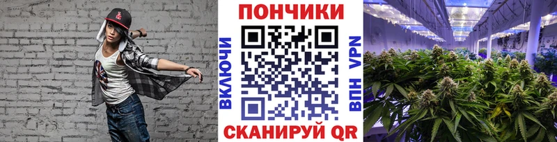 Конопля ГИДРОПОН  Купить где  Березники 